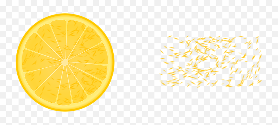 Lemon Citron Citrus - Free Vector Graphic On Pixabay Valencia Orange Png,Lime Slice Png