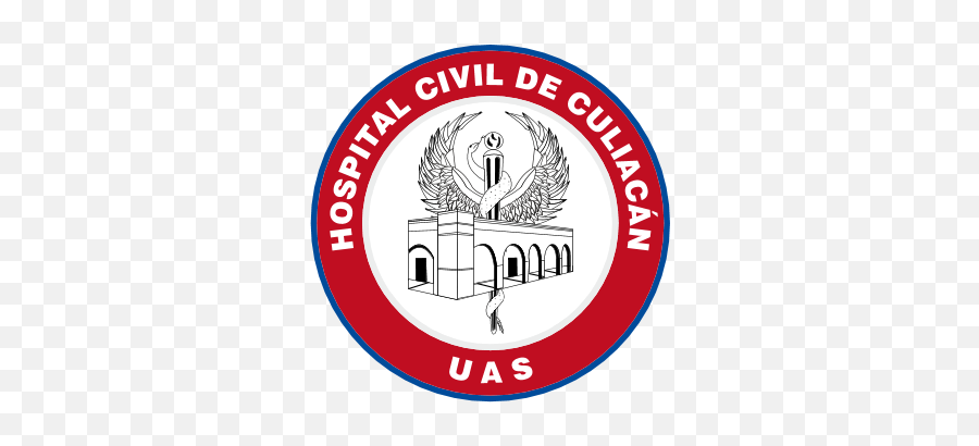 Hospital Civil De Culiacán Logo Download - Logo Icon Hospital Civil De Culiacan Png,Christus Victor Icon