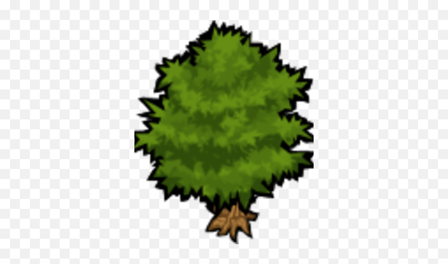 Tree - Illustration Png,Tree From Above Png