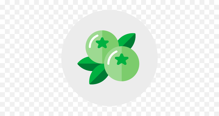 Vitamin K Guide - Fresh Png,Blueberries Icon