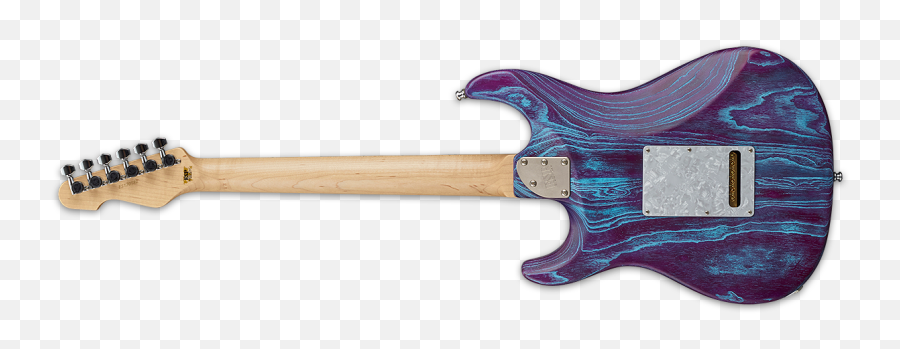 Kiesel Random Thoughts Worth Their - Esp Purple Burst Guitar Png,Kiesel Icon Bass Youtube
