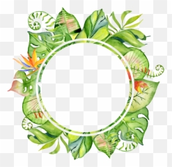 Leaf Frame Png Transparent - Leaves Tropical Circle Png,Frame Png Transparent