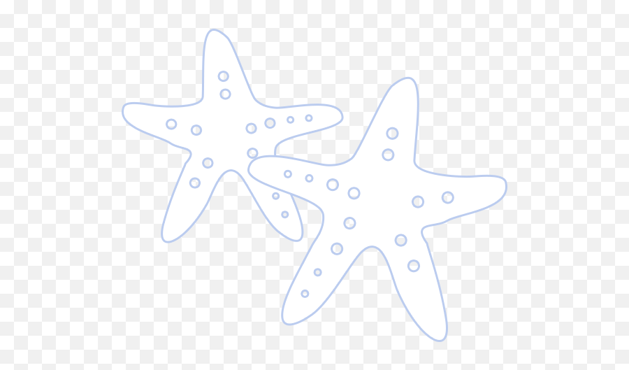 Ecommerce Web Design Company Salisbury Turtle Reality - Dot Png,Starfish Small Icon