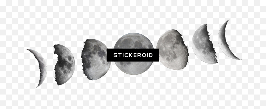 Moon Phases Black And White Png Image - Phases Of The Moon Png,Moon Phases Png