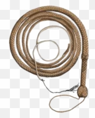 Indiana Jones Whip Pawn Stars The Game Wiki Fandom - png