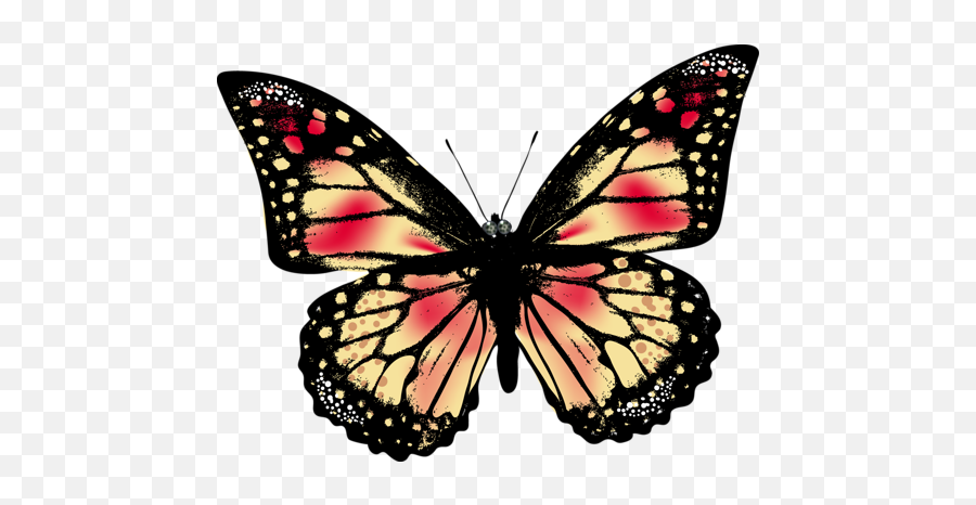 Kelebek Png Resimleri Butterfly - Borboleta Realística Transparent Butterfly Violet,Real Butterfly Png