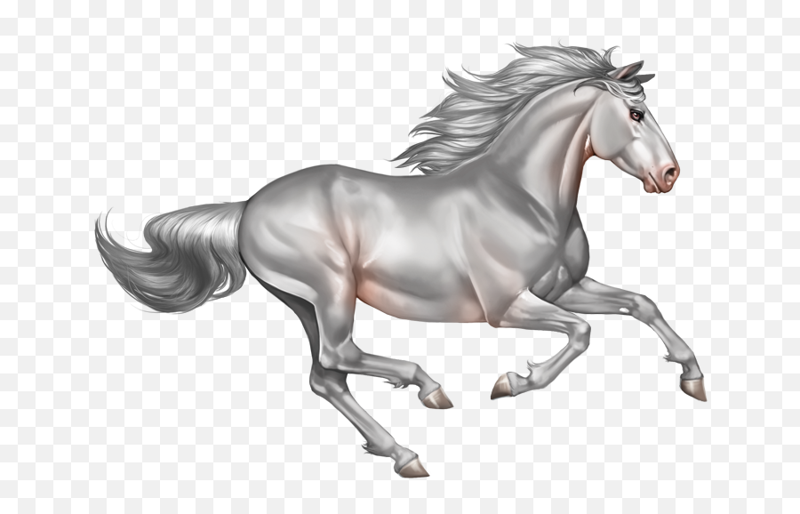 Index Of - Running White Horse Png,Horses Png