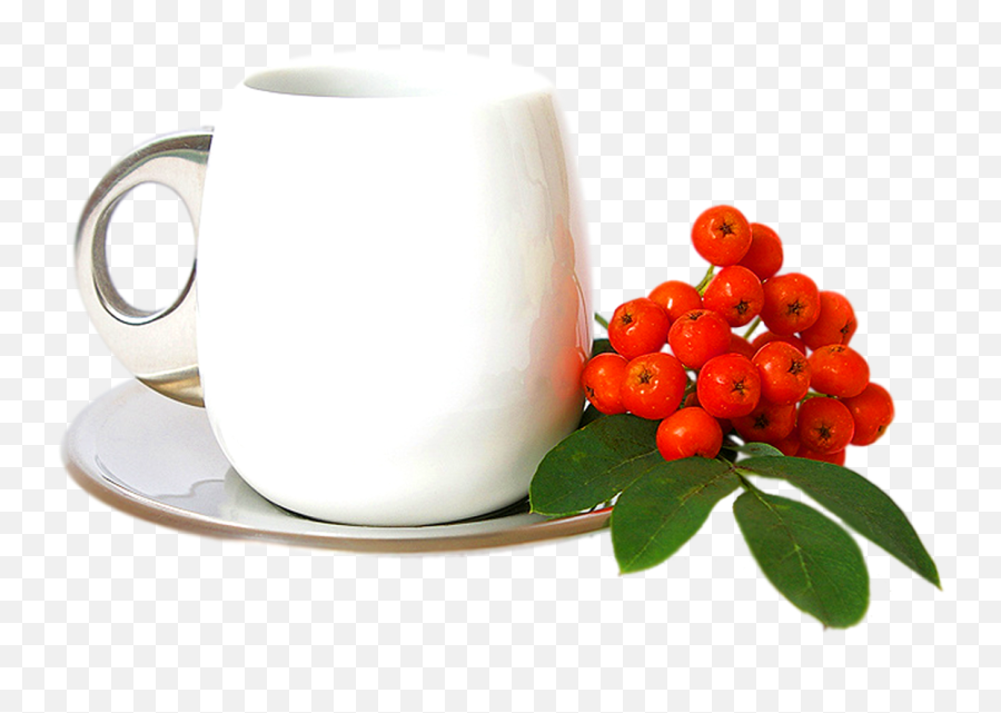 Coffee Png Transparent Photos - Transparan Cup Png,Coffee Cups Png