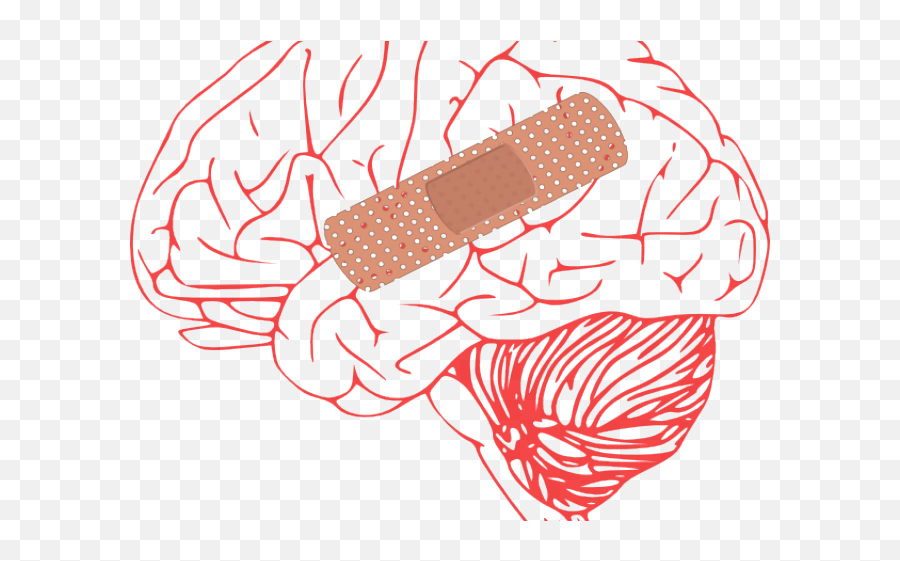 Download Damage Cliparts - Brain And Spinal Cord Png Brain Clip Art,Brain Transparent Png