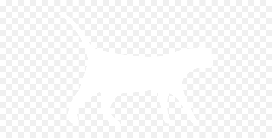 Cat White Tail Png - Cat Icon Png White,White Cat Png