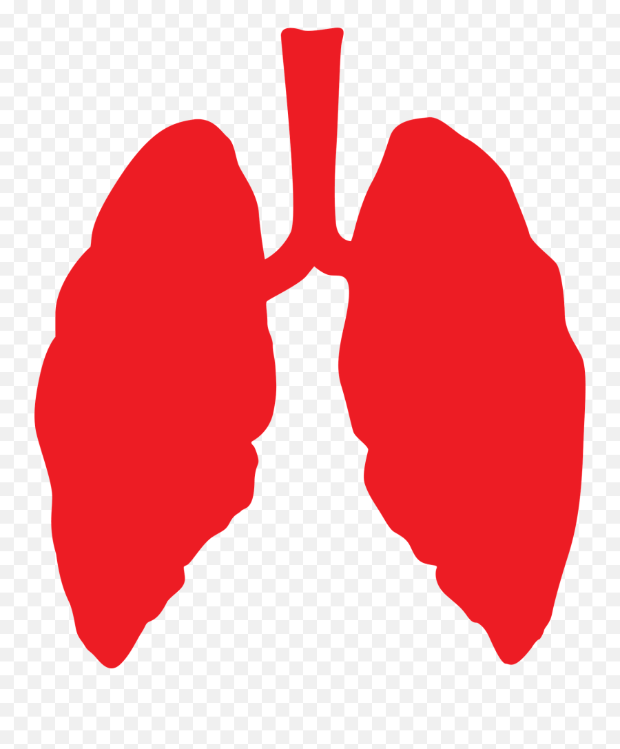 Lungs Lung Health - Health Lung Png,Lung Png