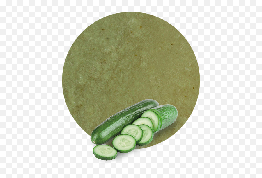 Cucumber Puree - Manufacturer And Supplier Lemonconcentrate Organic Cucumber Png,Cucumber Png