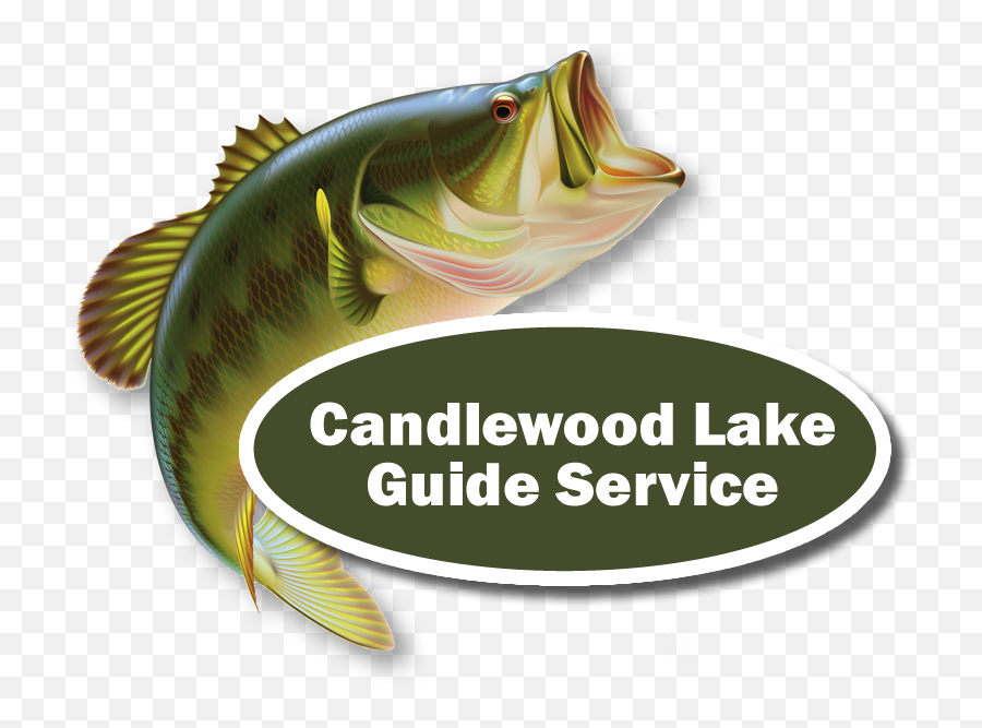 Candlewood Lake Bass Fishing Guide - Fish Jumping Out Of Water Clipart Png,Bass Fish Logo