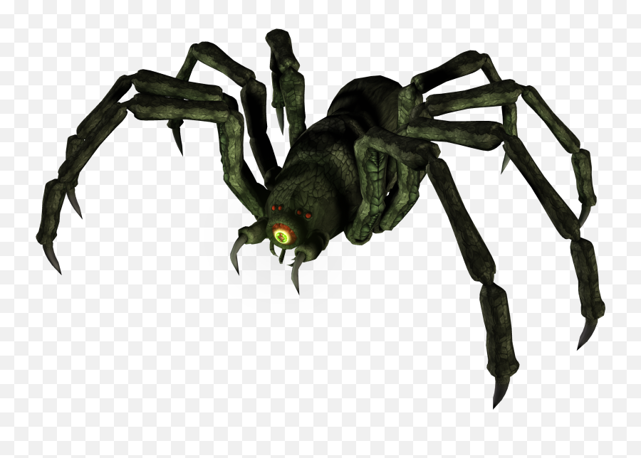 Download Spoiler Alert Click Show To - Tangle Web Spider Png,Spoiler Alert Png