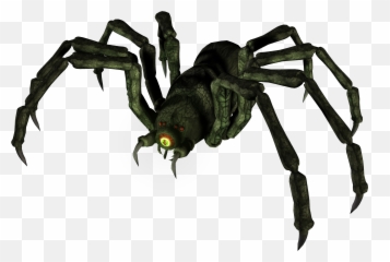 Download Spoiler Alert Click Show To - Tangle Web Spider Png,Spoiler Alert Png