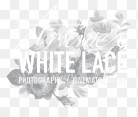 Arsenic And White Lace - Respect The Water png