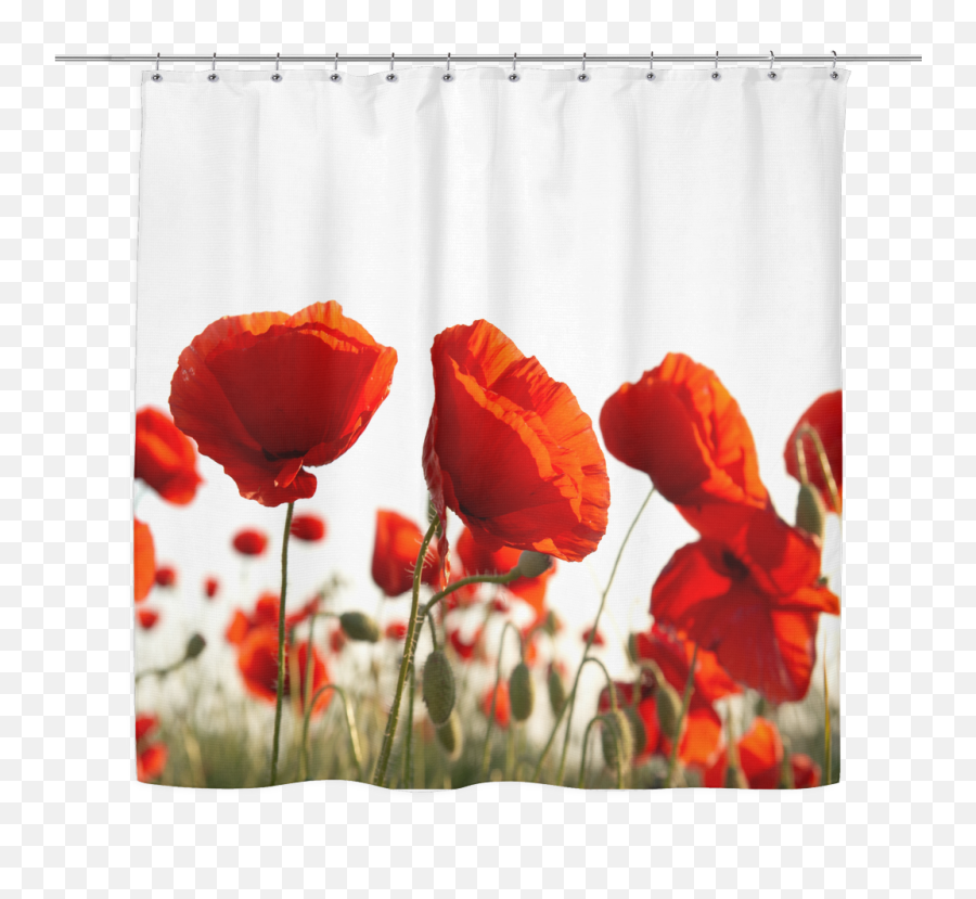 Red Curtains Png - Glass Wall Art Poppies 3124032 Vippng Poppy Flower Bag,Red Curtains Png