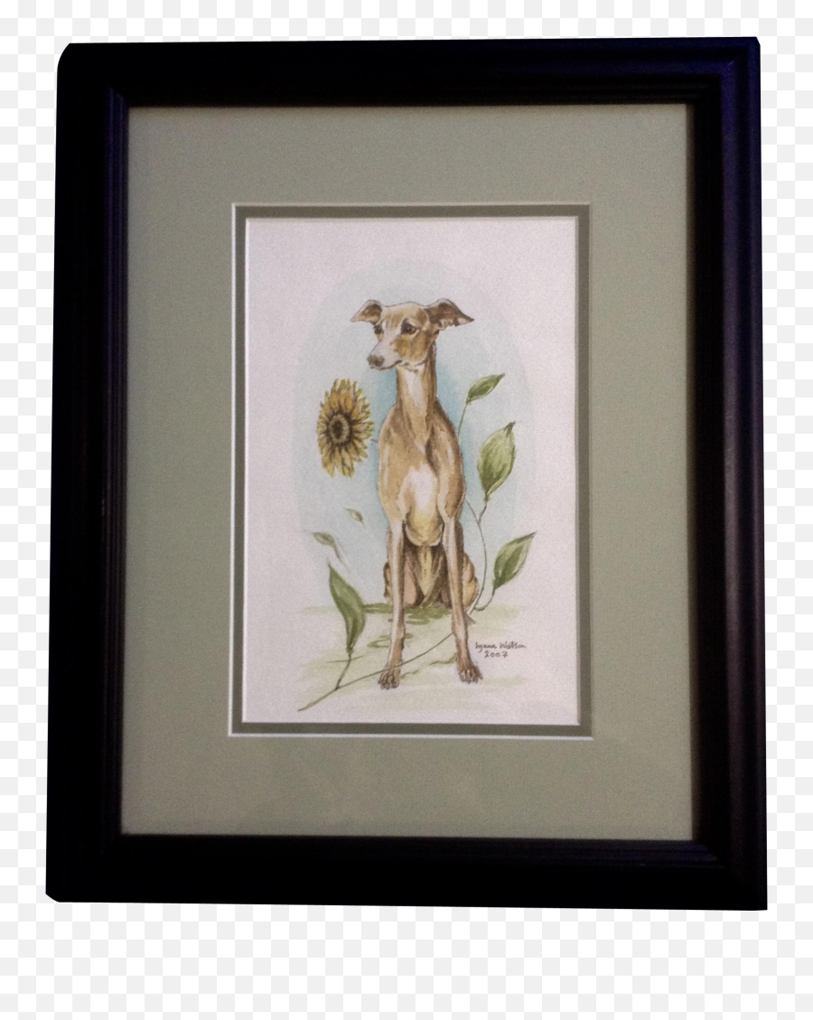 Lyana Watson Greyhound Dog Sitting By A Sunflower - Picture Frame Png,Dog Sitting Png