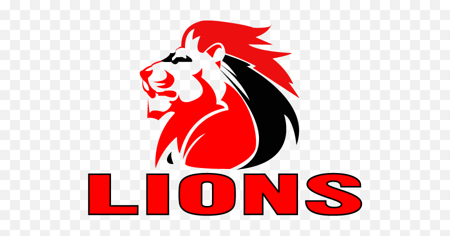 Lions Rugby Logo Transparent Png - Stickpng South Africa Lions Rugby,Lion Cartoon Png