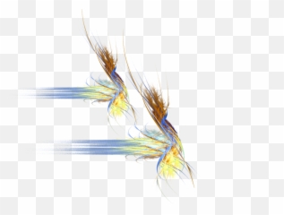 Download Fractal Png Hd - Hordeum,Fractal Png