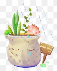 Lush Succulents Cartoon Transparent Png Images Psd Free - Fines Herbes
