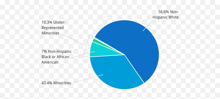 Csr Data U0026 Evaluations Nih Center For Scientific Review - Dot Png,Under Review Icon