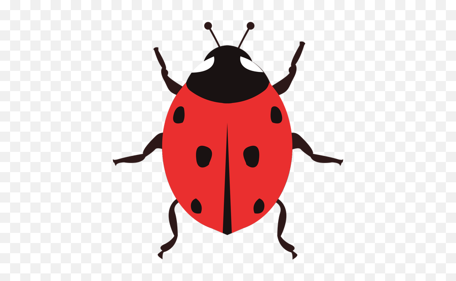 Ladybug Image Flat Transparent Png U0026 Svg Vector - Ladybird Emoji,Ladybug Icon