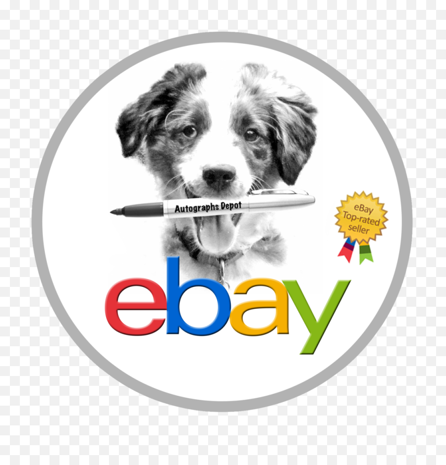 Download Ebay Logo - Ebay Top Rated Seller Full Size Png Ebay Top Rated Seller,Ebay Logo