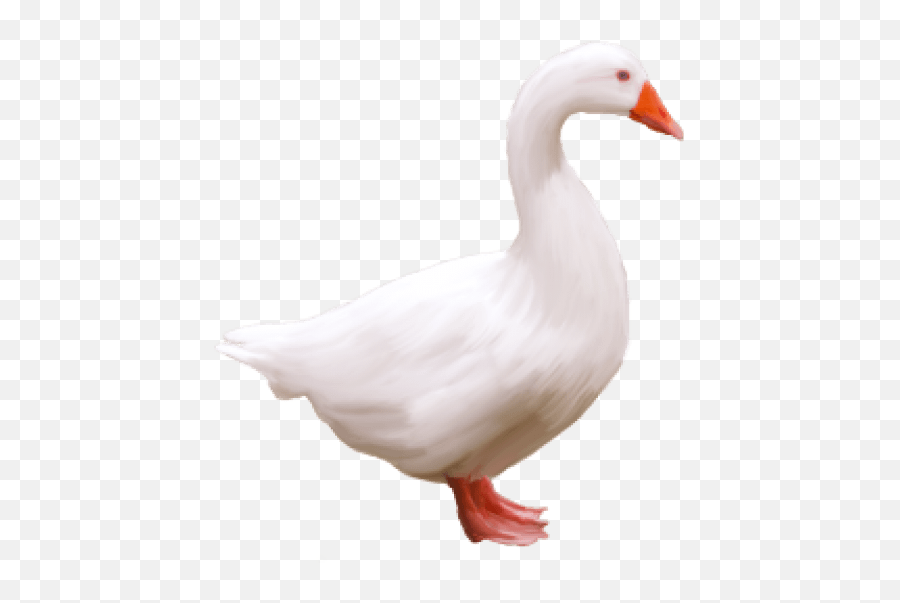 Free Png Goose Images Transparent - Portable Network Graphics,Goose Transparent