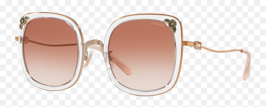 Coach 0hc7101b Sunglasses In Pinkpurple Target Optical - Coach Sunglasses Hc7101b Png,Icon Coch