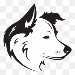 Medium Dog Breeds List With Pictures And Videos - Dog And Cat Vector png