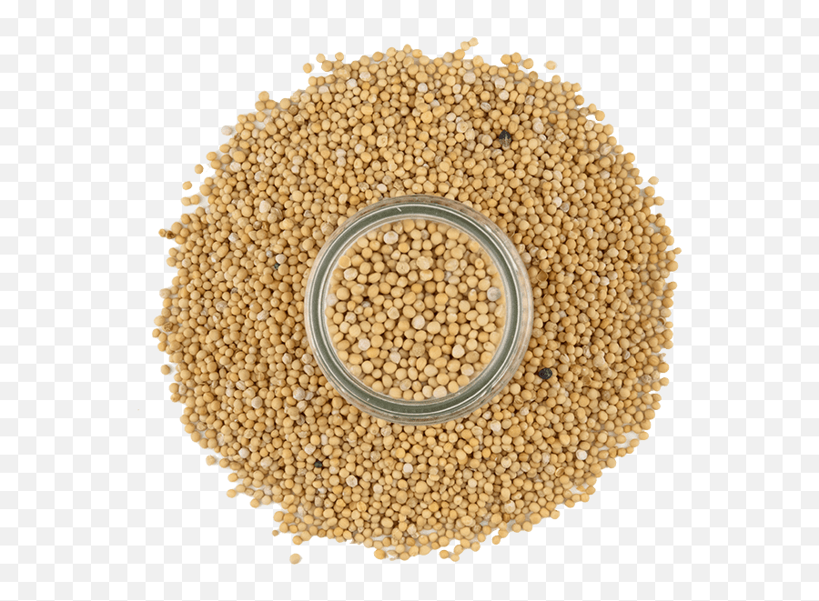 Mustard Yellow Seed - Millet Seeds For Birds Png,Seed Png