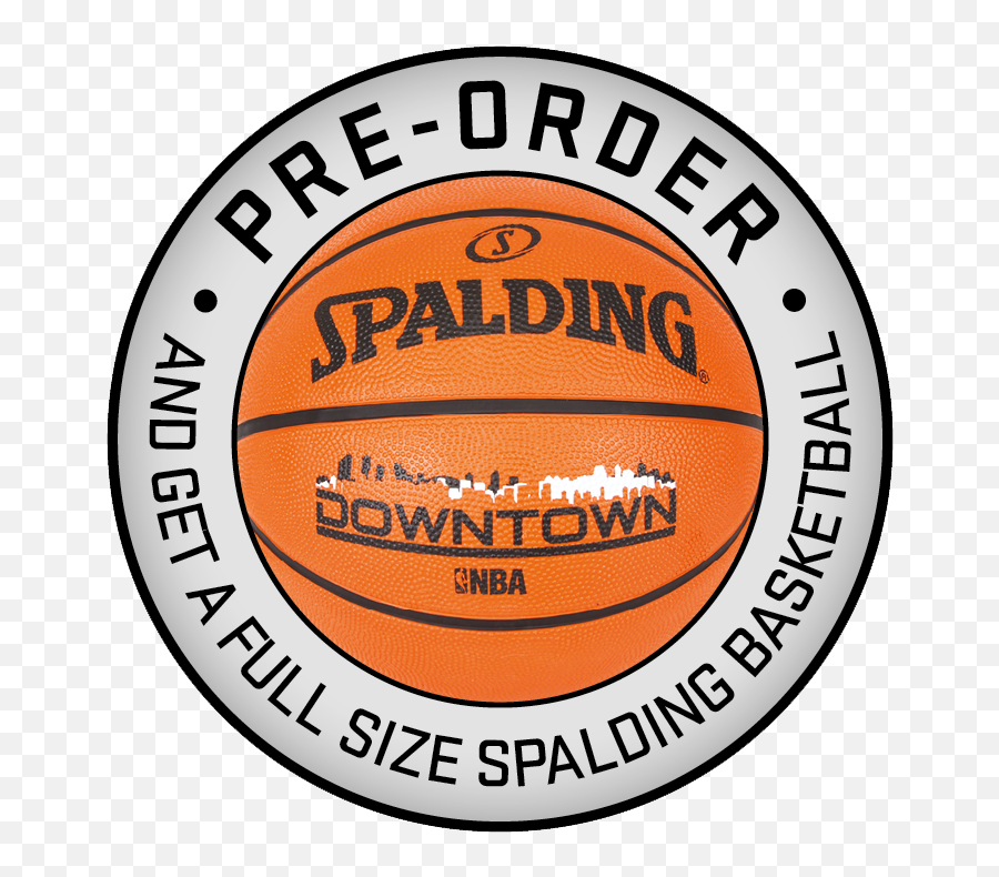 Nba 2k20 - Order Any Edition Of Spalding Basketball Png,Nba 2k19 Logo Png