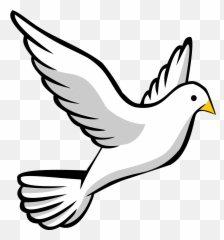 Free Dove Transparent Background - Drawing Of Sparrow Easy png