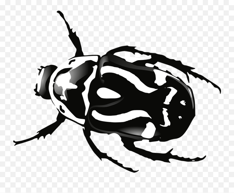 Bugs Png Black And White Transparent - Beetle Black And White,Insects Png