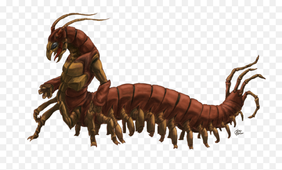 Download Hd Drawing Insect Centipede - Centipede Drawing Png,Centipede Png