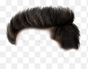 Cb Hair For Picsart - Transparent Boys Hair Png Boy Hair Png For Picsart,Boys Png
