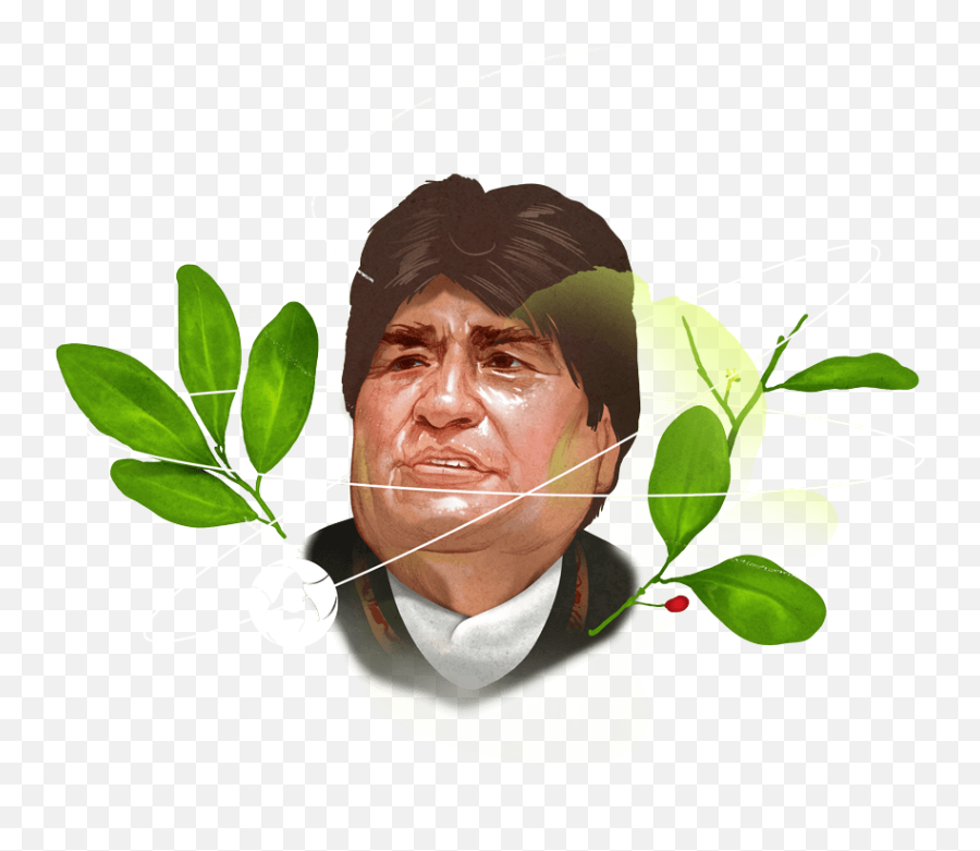 How Russia Secretly Helps Evo Morales - Bay Laurel Png,Putin Face Png