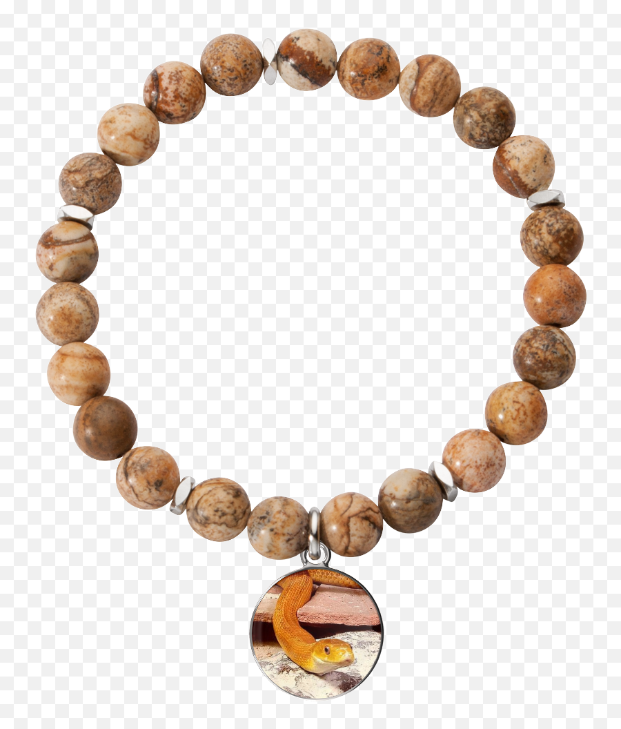 Download Hd Eye Of The Beholder Charm Bracelet - Bracelet Men Brown Beaded Bracelet Png,Beholder Png