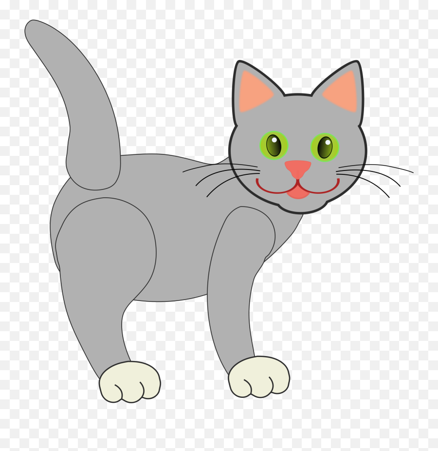 Download Hd Feline Clipart Cat Face - Grey Cat Shower Gray Cat Clip Art Png,Cat Face Png