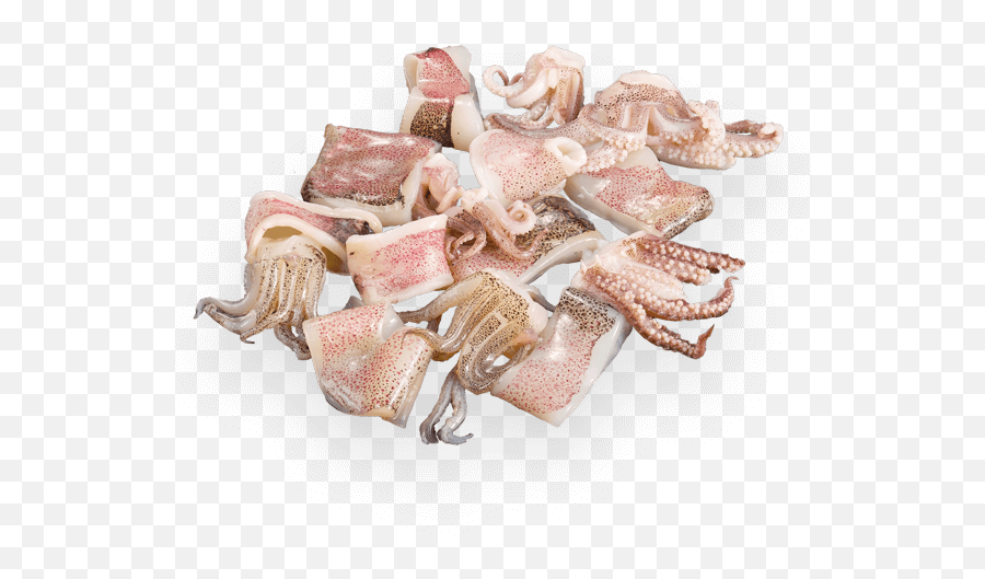 Patagonian Squid Rings And Tentacles U2013 Calamari Trading - Salumi Png,Tentacles Png
