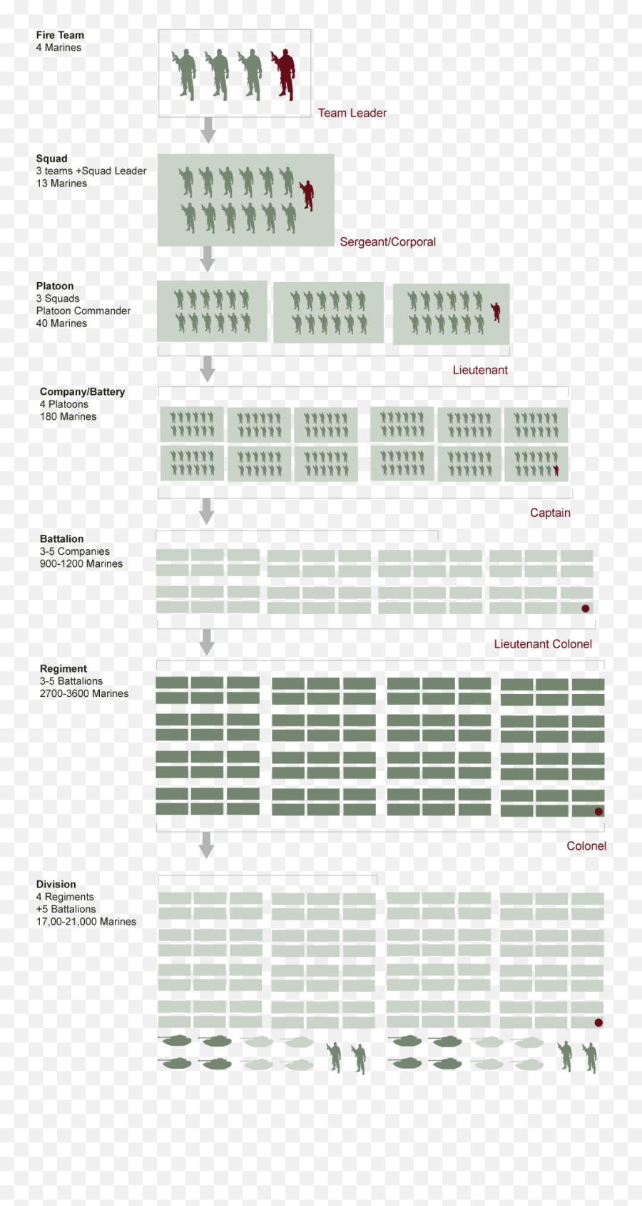 Us Military Structure Chart - Us Military Structure Chart Png,Png Military Slang