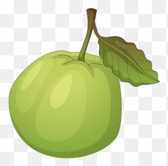 Guava Royalty - Free Clip Art Clipart Of Guava 600x494 Clip Art Guava Fruit Png,Guava Png
