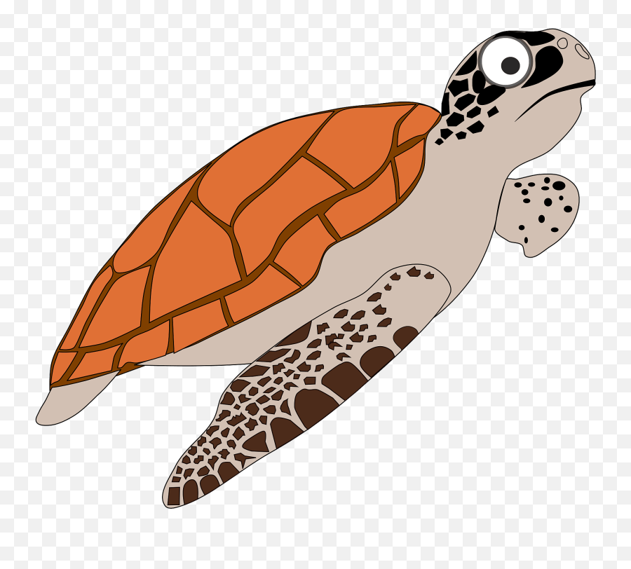 Clipart Png Turtle Transparent
