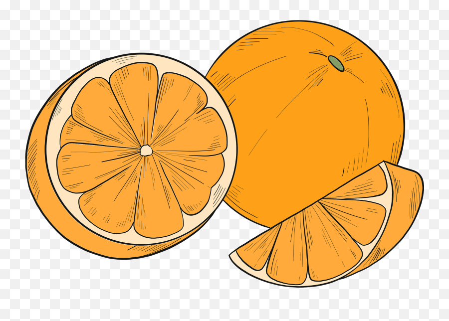 Clipart - Bergamot Orange Png,Oranges Png