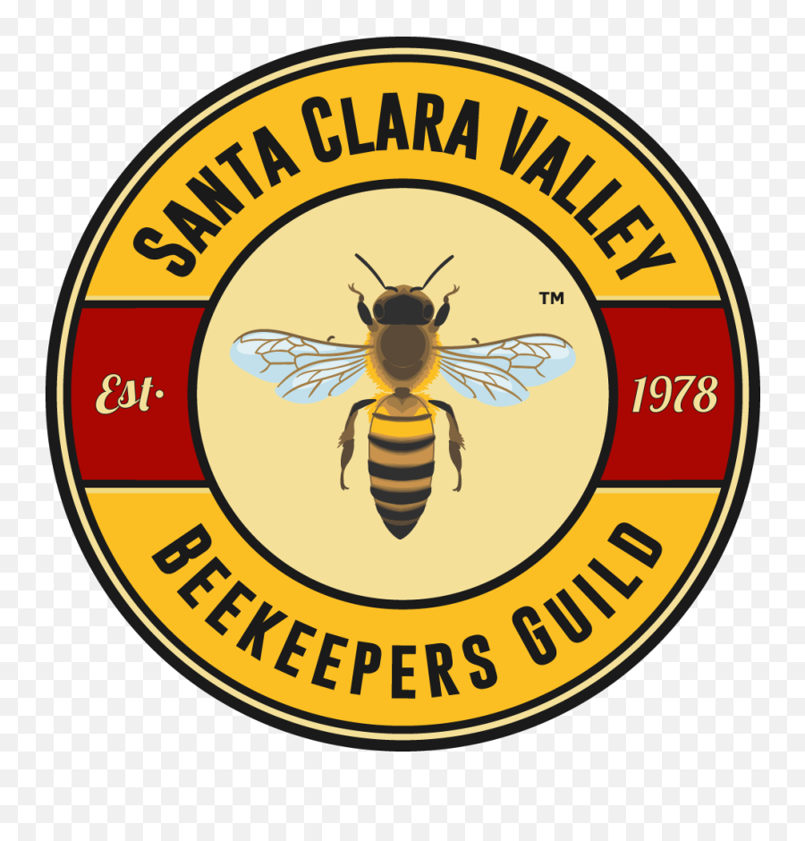 Santa Clara Valley Beekeepers Guild - Home Beekeepers Guild Png,Transparent Bee