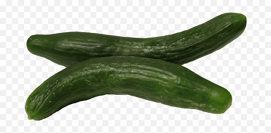 Download English Cucumbers - Cucumber Full Size Png Image Gourd,Cucumber Png
