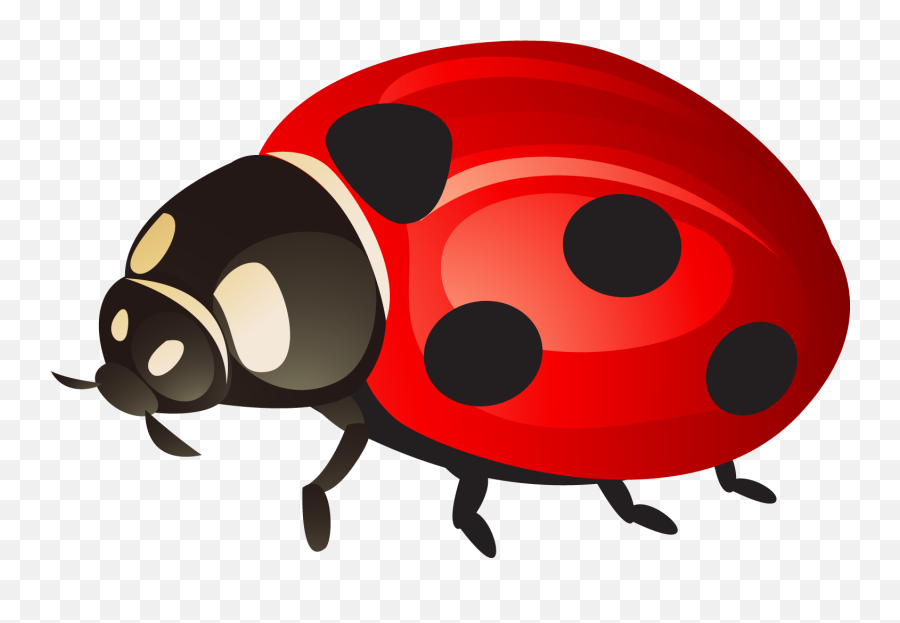 Ladybird Beetle Clip Art Png Transparent Ladybug