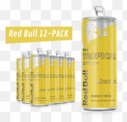 Tropical Red Bull Png Transparent