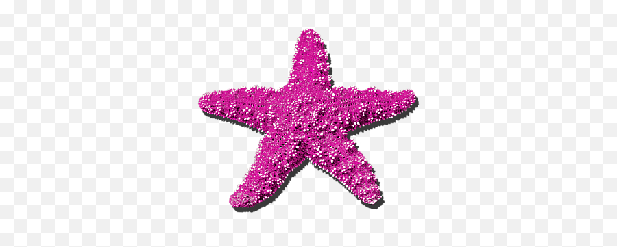 Sea Star Pink - Purple Sea Star Transparent Background Png,Pink Star Png